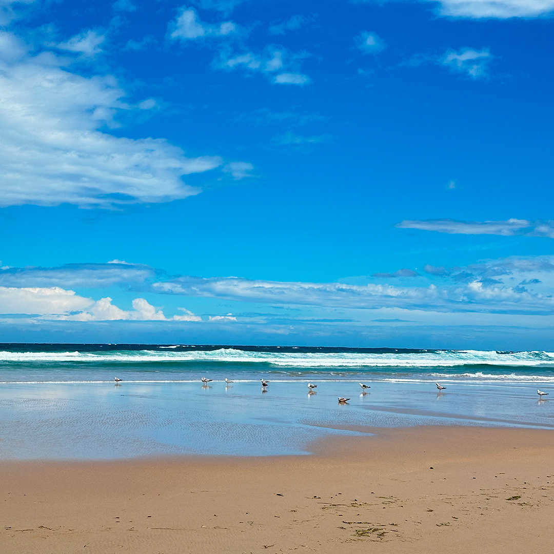 Vista playa
